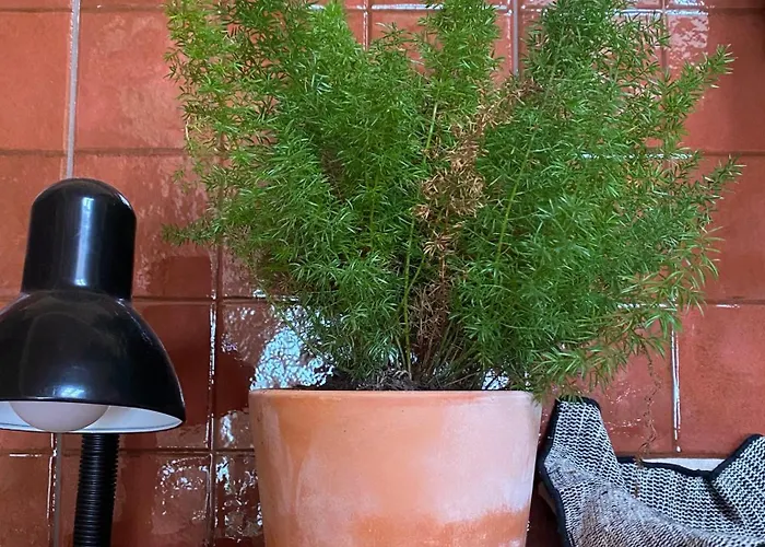Prázdninový dům Casas Lentas Slow Living-obidos Sobral (Leiria)